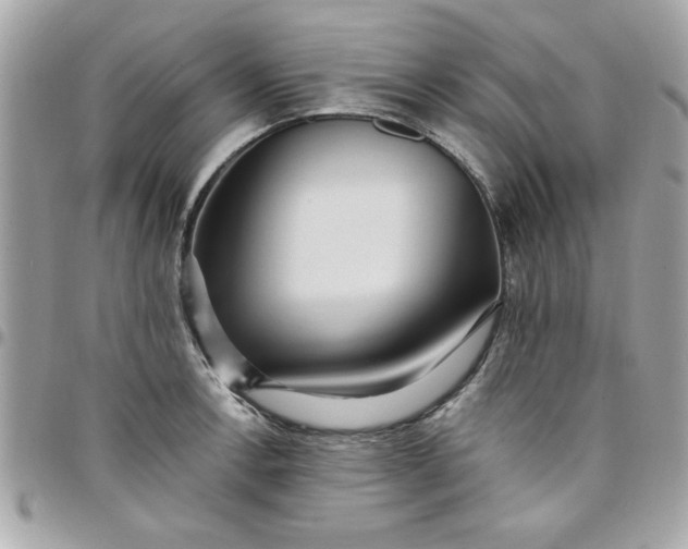 X0000097771138200803211731