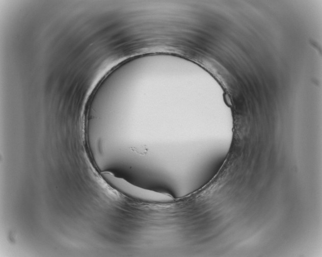 X0000097771140200803211731