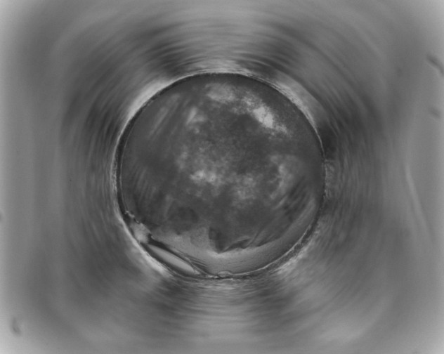 X0000097771141200803211731
