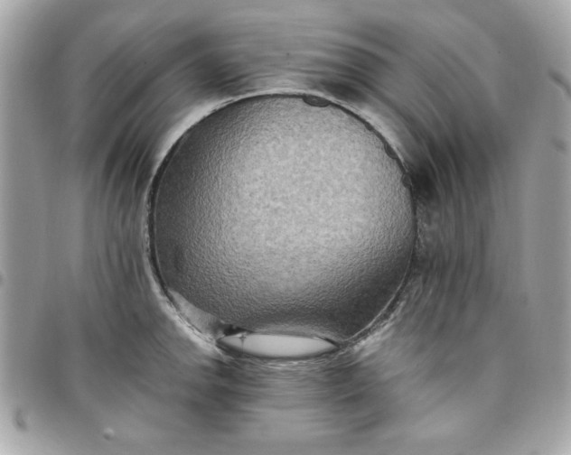 X0000097771142200803211731