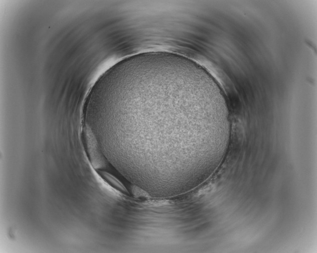 X0000097771143200803211731