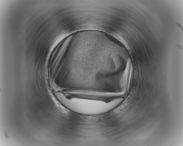 X0000097771144200803211731