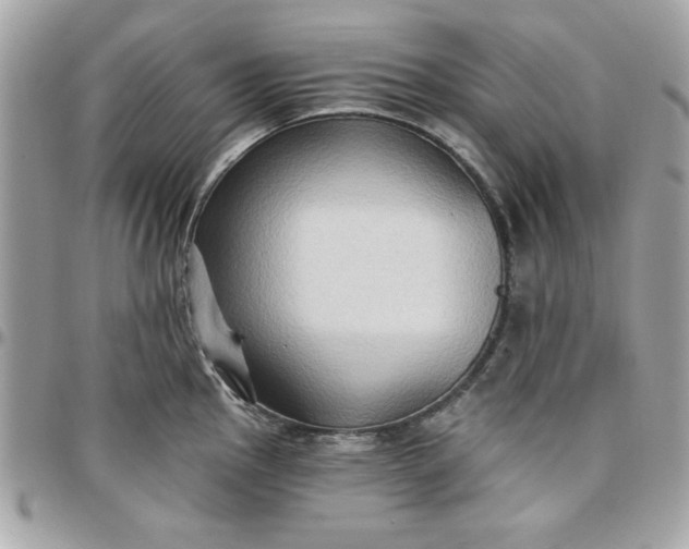 X0000097771145200803211731