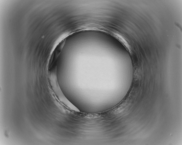 X0000097771146200803211731