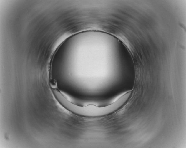 X0000097771151200803211731