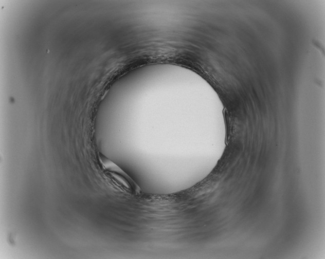 X0000097771153200803211730