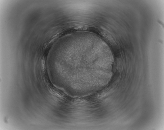 X0000097771154200803211730