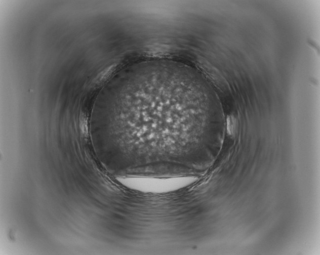 X0000097771155200803211730