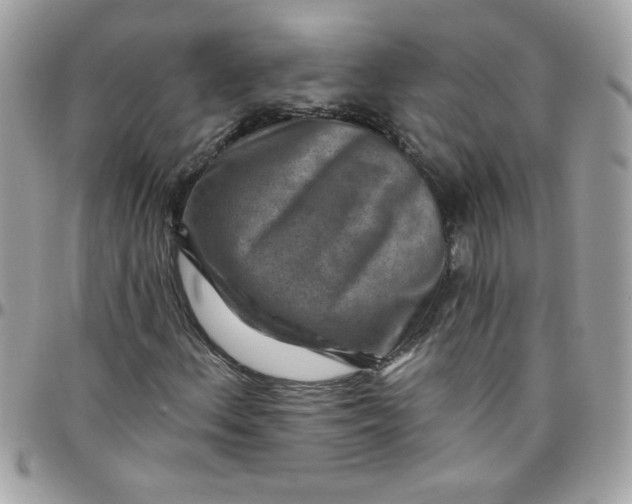 X0000097771156200803211730