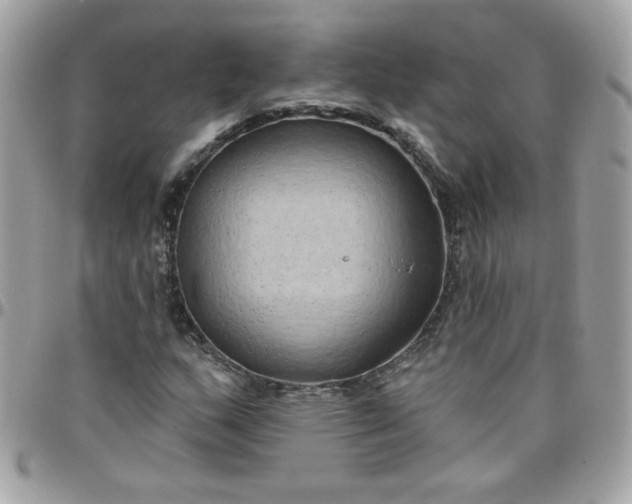 X0000097771159200803211730
