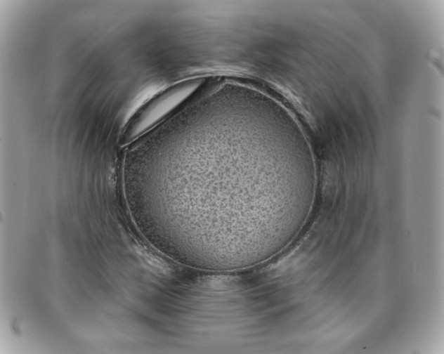 X0000097771163200803211730