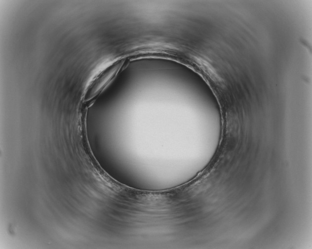 X0000097771164200803211730