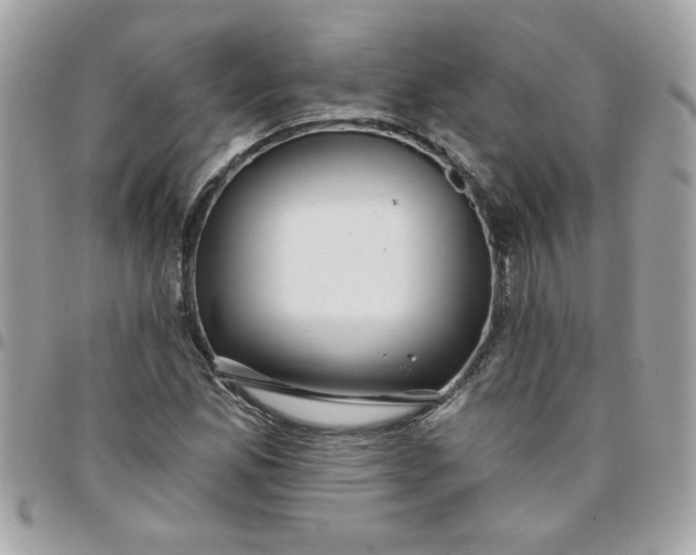 X0000097771165200803211730