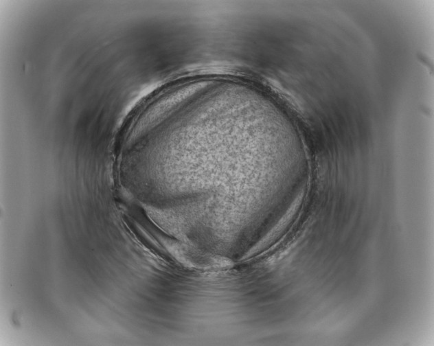X0000097771166200803211730