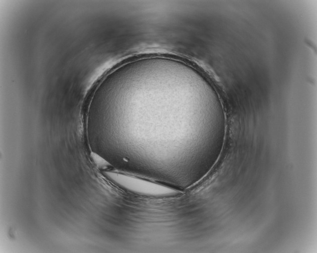 X0000097771167200803211730