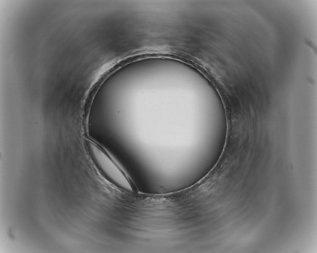 X0000097771168200803211730