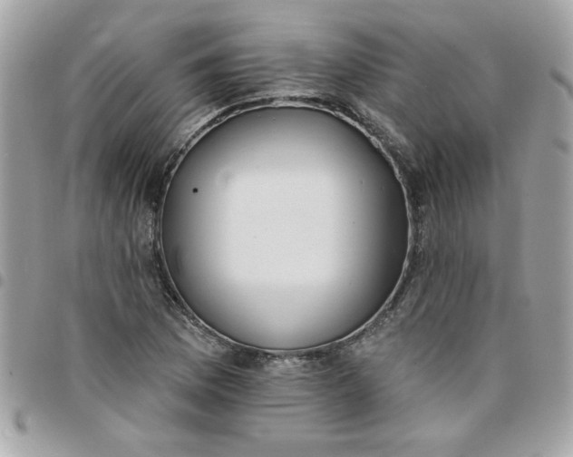 X0000097771169200803211730