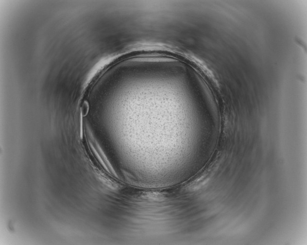 X0000097771175200803211730