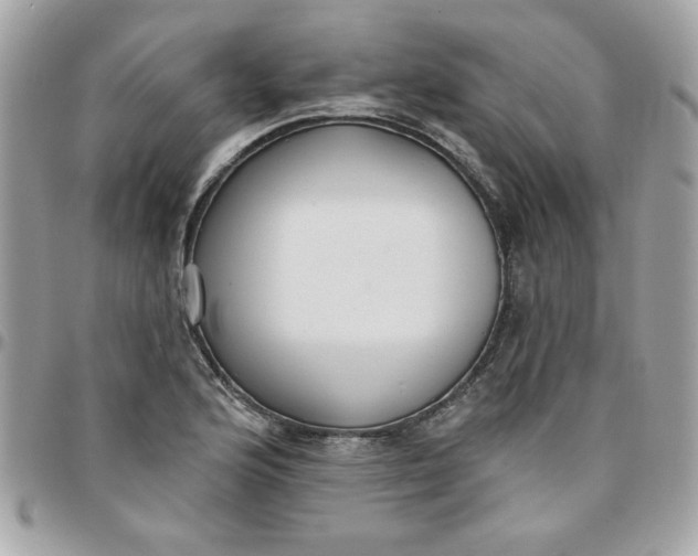 X0000097771176200803211730