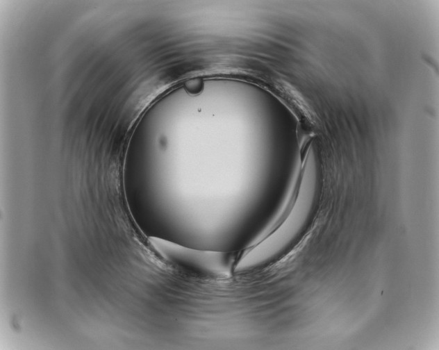 X0000097771177200803211730