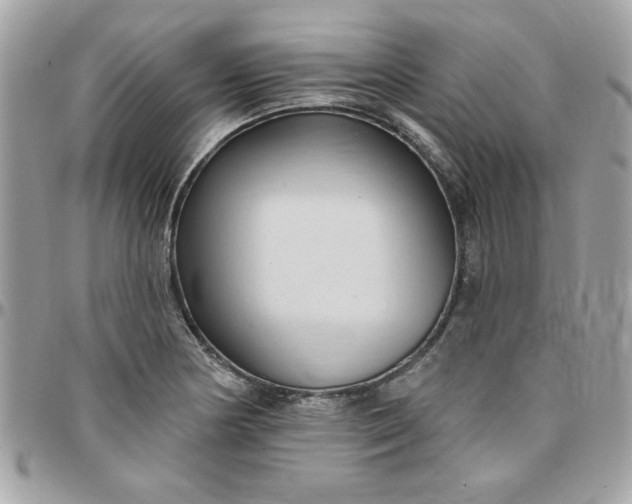 X0000097771178200803211730