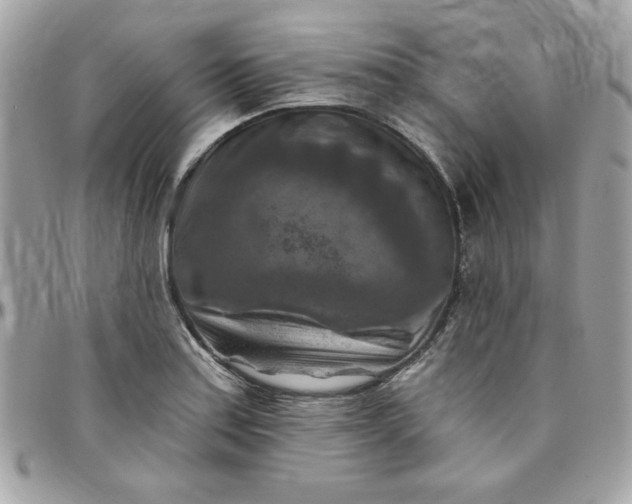 X0000097771179200803211730