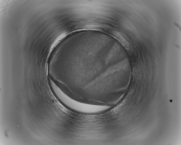 X0000097771180200803211730