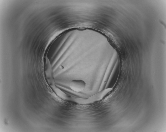 X0000097771184200803211730