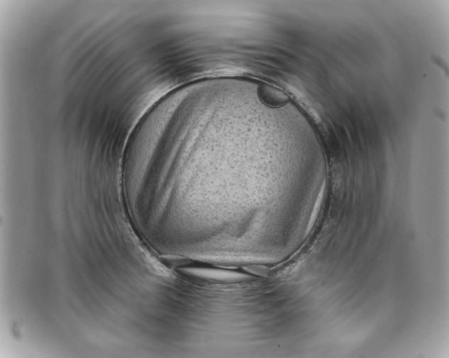 X0000097771186200803211730