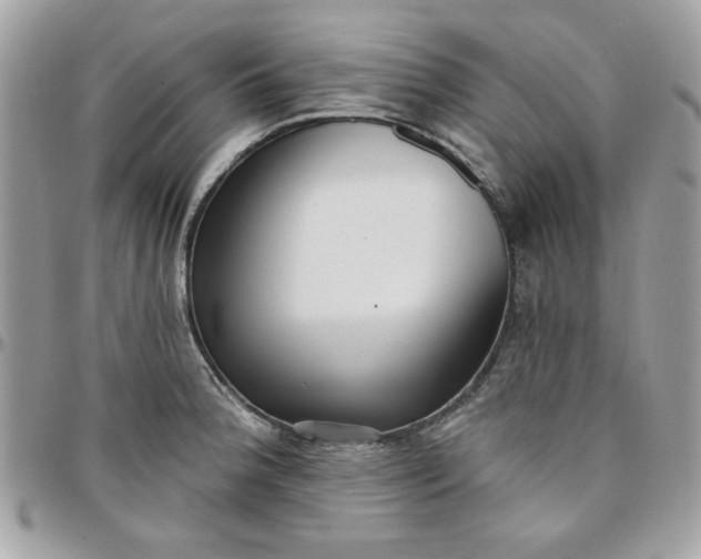X0000097771188200803211730