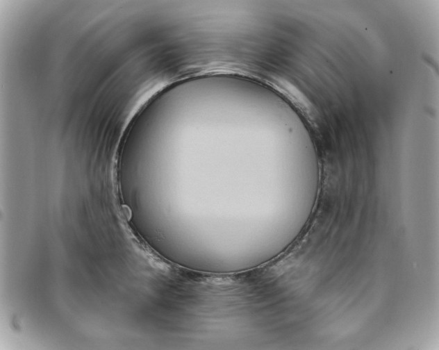X0000097771190200803211730