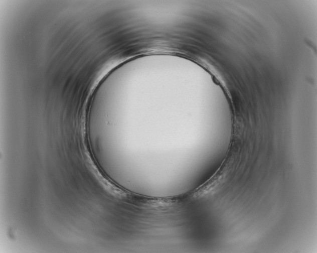X0000097771195200803211730