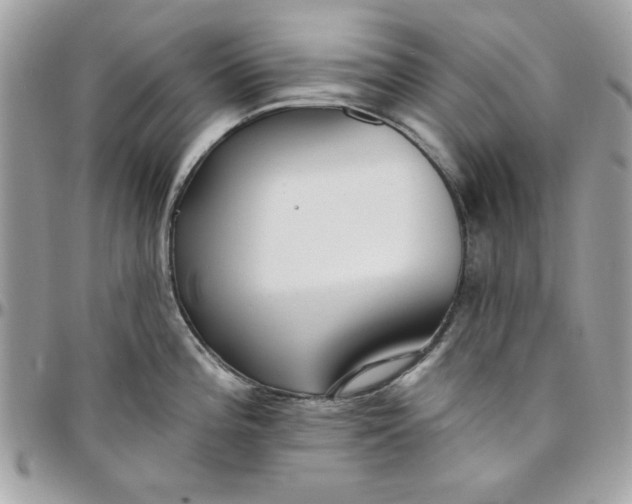X0000097771196200803211730