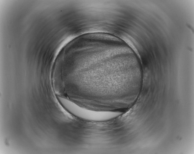 X0000097771197200803211730