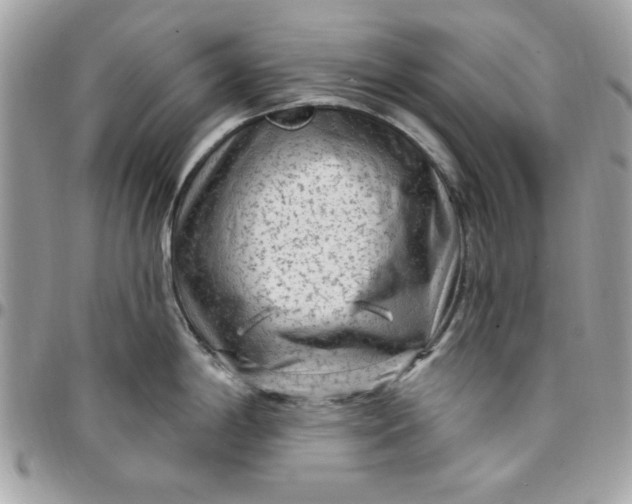 X0000097771198200803211730