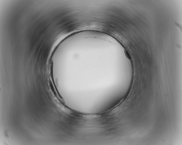 X0000097771200200803211729