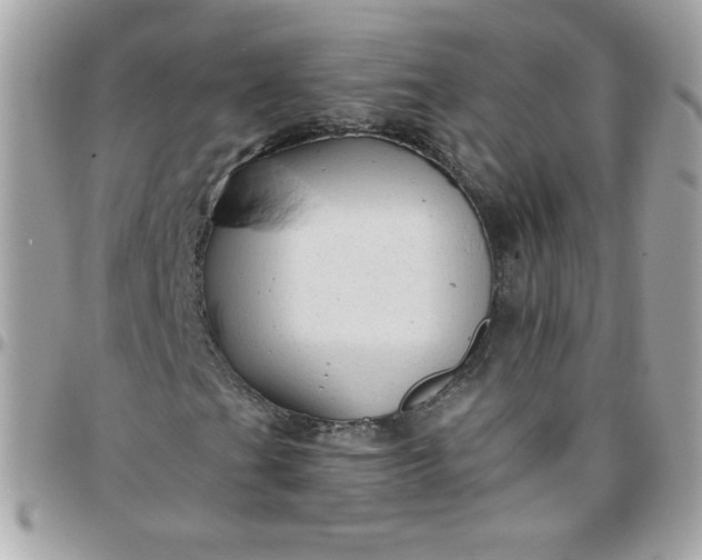 X0000097771201200803211728