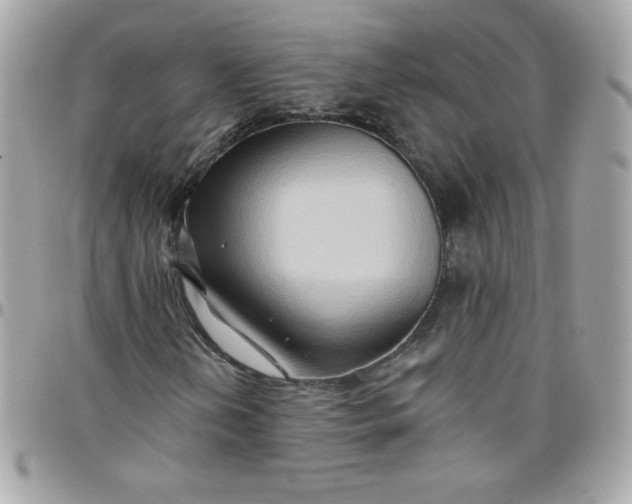 X0000097771202200803211728