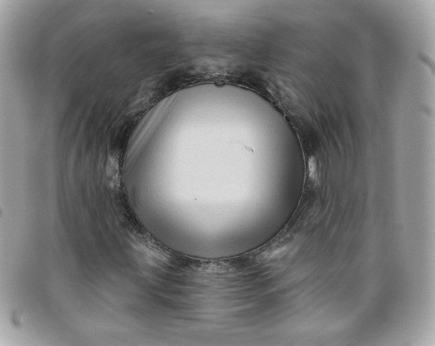 X0000097771203200803211729