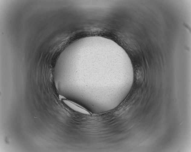 X0000097771204200803211729