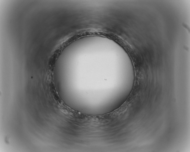 X0000097771207200803211729