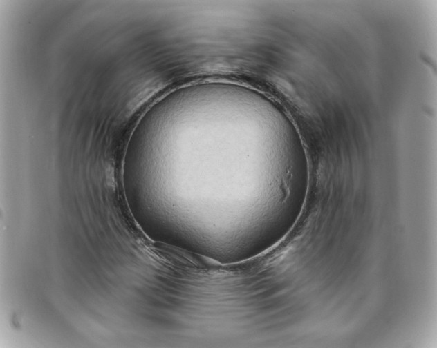 X0000097771209200803211729