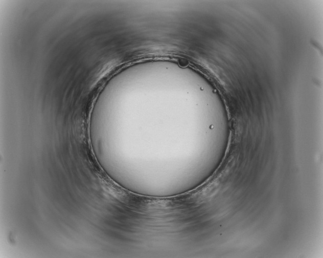 X0000097771211200803211729