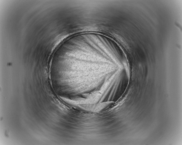 X0000097771212200803211729