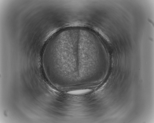 X0000097771213200803211729