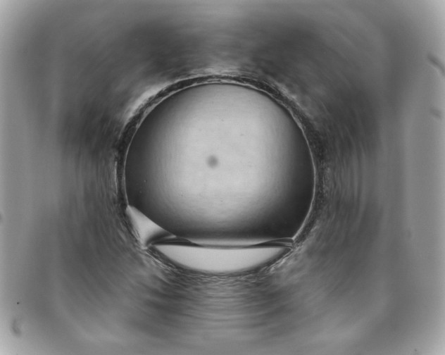X0000097771214200803211729