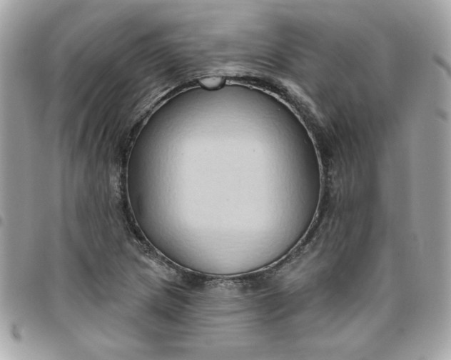 X0000097771217200803211729