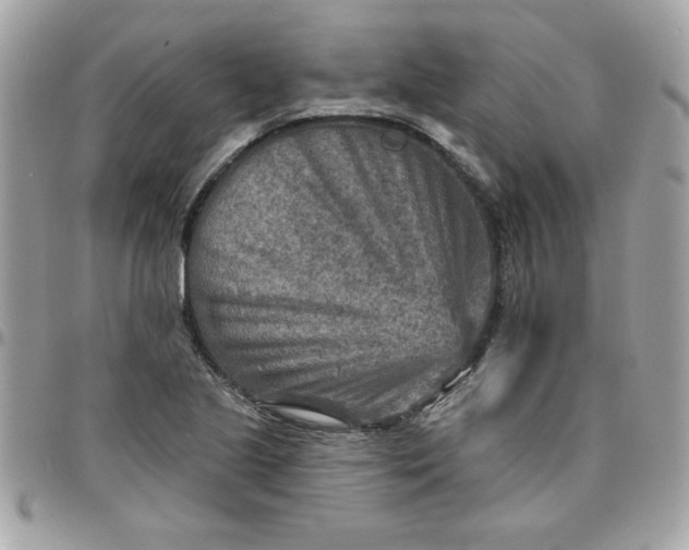 X0000097771221200803211729