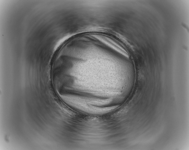 X0000097771222200803211729