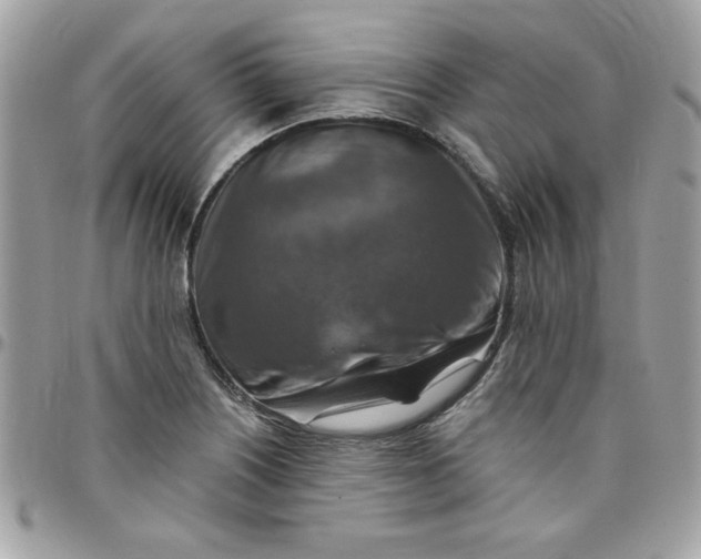 X0000097771226200803211729